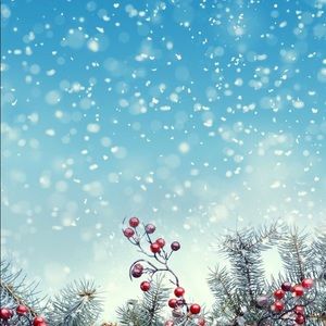 White aerie pullover for $16